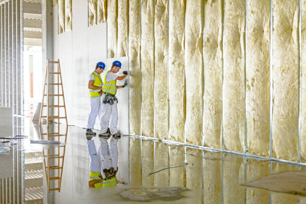 Best DIY Insulation Kits and Guidance in Centerville, IA